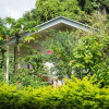 Отель Airai Forest Villa, фото 22