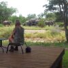 Отель nDzuti Safari Camp, фото 9