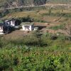 Отель Wangdue EcoLodge, фото 14