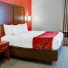 Отель Comfort Suites Tyler South, фото 7