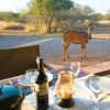 Отель Sondela Nature Reserve & Spa Makhato Lodges, фото 18