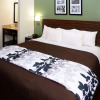Отель Sleep Inn Horn Lake - Southaven, фото 4