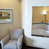 Отель Holiday Inn Express Hotel & Suites Lansing-Dimondale, an IHG Hotel, фото 10
