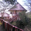 Отель Sirville Lake Elementaita Lodge, фото 34