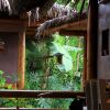 Отель La Bicok Ecolodge, фото 34