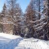 Отель Chalet Panorama, фото 12