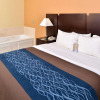 Отель Comfort Inn & Suites, фото 4