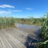 Отель Pfahlbau Seehütte am Neusiedlersee - Waterfront 2, фото 6