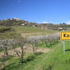 Отель Kozana, фото 13