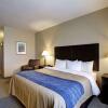 Отель Comfort Inn & Suites Selma near Randolph AFB, фото 6