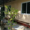 Отель Green Happy Homestay, фото 17