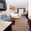 Отель Holiday Inn Express Hotel & Suites CORDELE NORTH, an IHG Hotel, фото 2