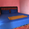 Отель OYO 3750 Elder Guest House, фото 8