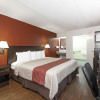 Отель Red Roof Inn Jackson North - Ridgeland, фото 14