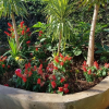 Отель Ebuhleni Guest Lodge, фото 9