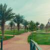 Отель Swiss International Resort Al Qassim, фото 14