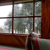 Отель Cabañas Yelcho en la Patagonia, фото 21