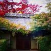 Отель Haruka House - Vacation STAY 9597, фото 1