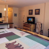 Отель Fawn Valley Inn: 278 1 Bedroom Condo, фото 2