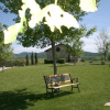 Отель Casale Poggio Nebbia, фото 10