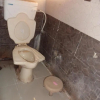 Отель shree ram guest house, фото 6