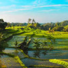 Отель Sang Tirta Farm Living Resort, фото 9