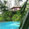 Отель Monkey Lodge Panama, фото 14