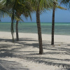 Отель Twiga Beach Resort & Spa, фото 23