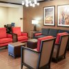 Отель Comfort Inn & Suites, фото 12