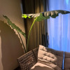 Отель The Hub District Garden Suites, фото 7