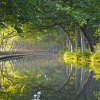 Отель Barge Beatrice cruises on the Canal du Midi, фото 1