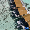 Отель Jelly Sea Resort, фото 5