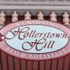 Отель Hollerstown Hill Bed & Breakfast во Фредерике