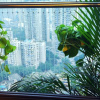 Отель chongqing yue birds hotel, фото 17