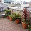 Отель Rooftop 3Br Ph-Indoor Sauna In Dublin, фото 15