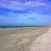 Отель Misty Isles Redington Beachfront Suite 5, фото 15