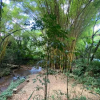 Отель Espaço Viverde Pousada e Retiros, фото 48