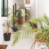 Отель Dewl Studios & Residences - The Kahlo, фото 19