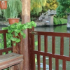 Отель Wuzhen Dongzha Linshui Homestay, фото 13