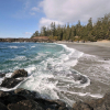 Отель Wild Pacific Retreat, фото 15