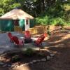 Отель Circle M Camping Resort 24 ft. Yurt 2, фото 3