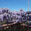 Отель Domus Francy, фото 17