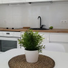 Отель Tauralaukio g. 24B apartamentai, фото 7