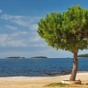 Отель Cozy Apartment Valentino46 in Rovinj for 4 Guests - Very Central Location!, фото 20