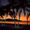 Отель Café de Playa Beach Front Hotel, фото 25