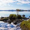 Отель Lake Thingvellir Cottages, фото 12