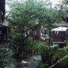 Отель Cindy'S Botanical Garden Lijiang, фото 2