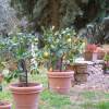 Отель Apartment with One Bedroom in Monte San Savino, with Wonderful Mountain View, Pool Access, Furnished, фото 15