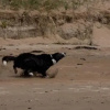 Отель @ the beach & not quite @ the beach Holiday Cottages - Stanley, фото 1