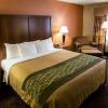 Отель Comfort Inn Okemos - East Lansing, фото 20